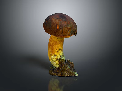 Mushroom Organ And Hair Structure With Brown Cap Yellow Stem And Soil Base 3d model