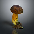 Mushroom Organ And Hair Structure With Brown Cap Yellow Stem And Soil Base