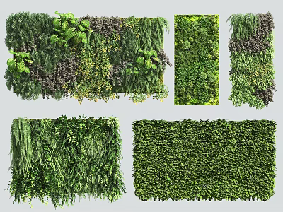 Variety Of Lush Greenery Walls For Decoration 3d model