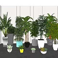 Various Indoor Potted Plants In Different Style Pots For Home Decor