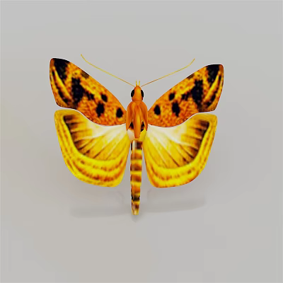 Vibrant Yellow And Orange Butterfly With Black Spots On Spread Wings 3d model