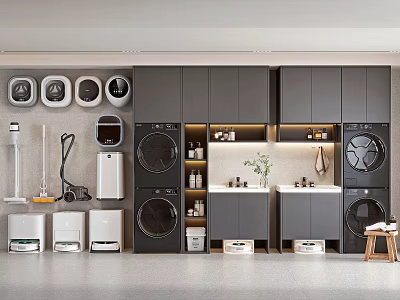 Modern Organized Laundry Space With Washing Machines Vacuum Cleaners And Cabinetry 3d model