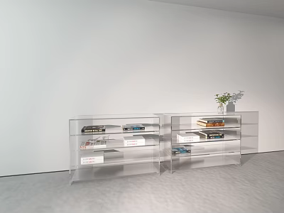 Transparent Bookcase With Multiple Shelves Books Vase And Green Plants Against White Wall Gray Floor 3d model