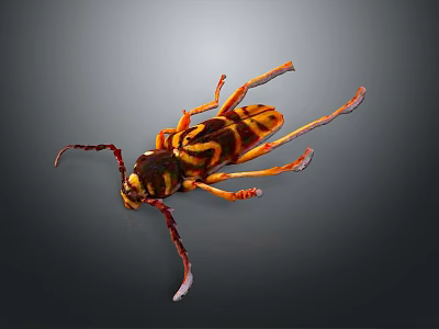 Close Up View Of Colorful Beetle With Long Antennae And Striped Body On Dark Background 3d model