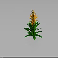 Tall Vibrant Tropical Plant With Green Leaves And Orange Layered Flowers
