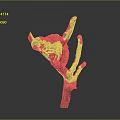 Artisan Designed Biomorphic Wooden Sculpture Featuring Natural Branch And Organic Form
