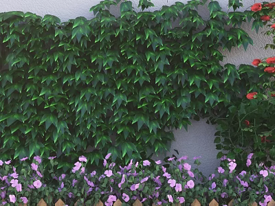 Hanging Basket Plants With Green Vines Covering Wall And Purple Flowers Near Wooden Fence 3d model