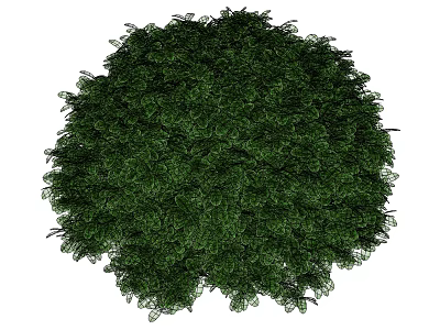 Modern Shrub Spherical Shrub 3d model Modern Shrub Spherical Shrub 3d model