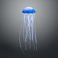 Graceful Blue Jellyfish With Transparent Long Tentacles Floating In Dark Background 3d model