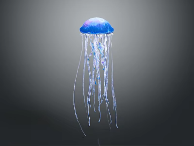 Graceful Blue Jellyfish With Transparent Long Tentacles Floating In Dark Background 3d model