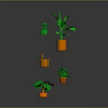 Indoor Plants Displayed on Multi Tier Metal Shelf With Orange Pots and Lush Green Leaves