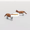 Two Brown And White Tabby Cats Standing On White Background With Realistic Details