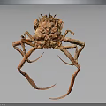 Red Crab with Long Legs and Complex Shell on Dark Background 3d model