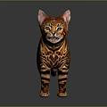 Elegant Bengal Cat With Brown and Black Spotted Coat Standing on Grey Background With Reflection