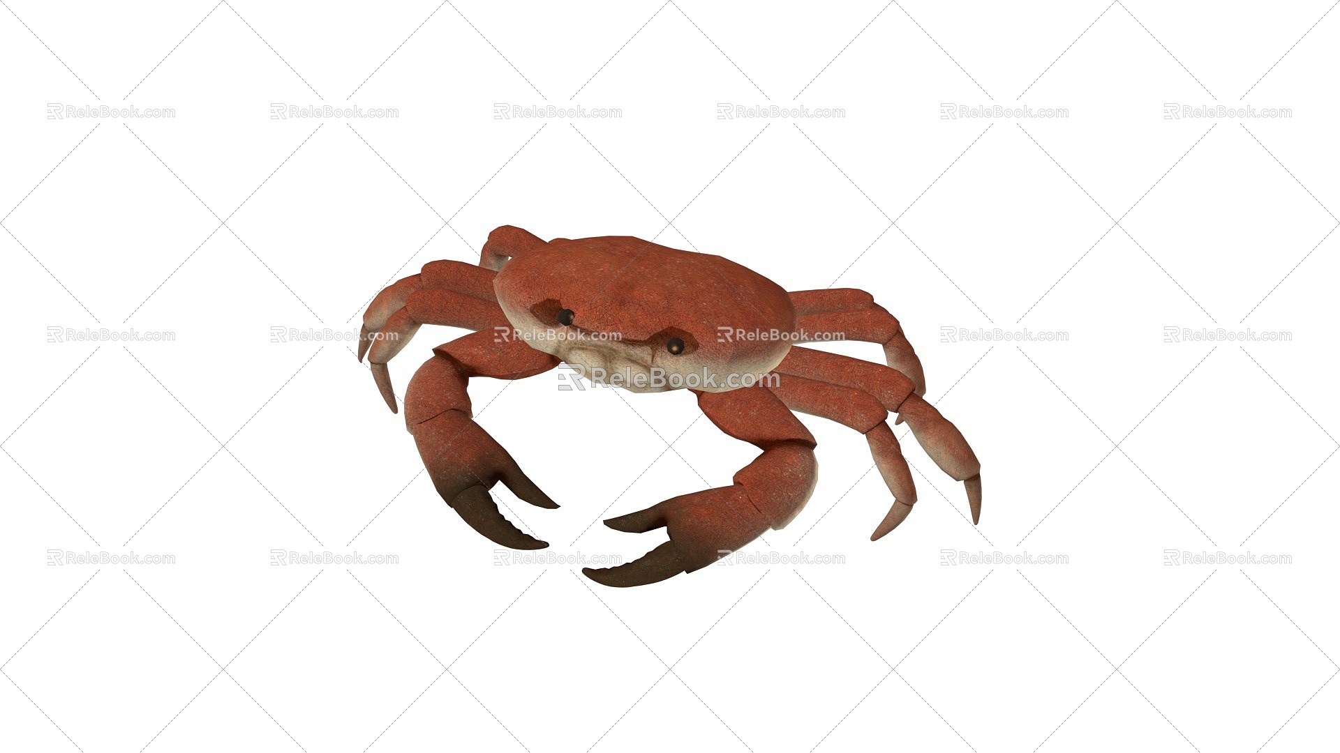 Animated crab crustaceans swimming crab green crab Chinese mitten crab river crab hairy crab water crab 2014198351 3d model