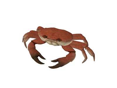 Animated crab crustaceans swimming crab green crab Chinese mitten crab river crab hairy crab water crab 2014198351 3d model