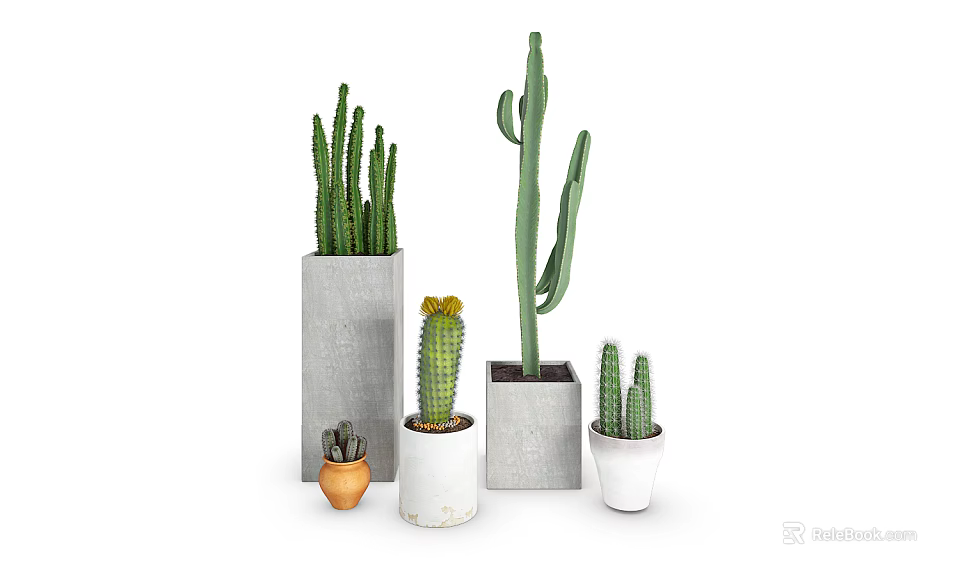 Potted Cactus Plants In Various Sizes With Concrete And Ceramic Pots For Home Decor 3d model 