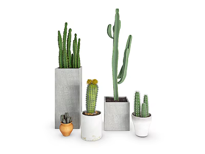 Potted Cactus Plants In Various Sizes With Concrete And Ceramic Pots For Home Decor 3d model