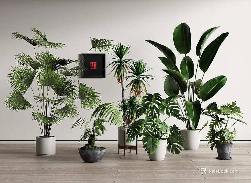 Tropical Green Potted Plants With Large Leaves In Different Ceramic Pots For Indoor Decor 3d model 