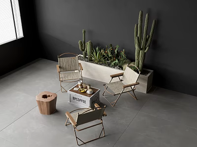 Modern Leisure Chairs in Indoor Corner with Black Walls Gray Flooring and Cactus Plants 3d model