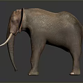 Detailed Brown Elephant Sculpture With Large Ears And Long Tusks On Dark Background