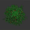 Green Christmas Tree Decorated With Red Gold Ornaments White Lights And Red Gift Box