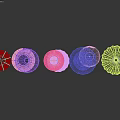 Traditional Chinese Decorative Lanterns With Red Orange Pink Colors And Fu Xi Characters