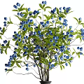 Black Ceramic Vase With Blue Blooming Flowers And Green Leaves For Home Decor