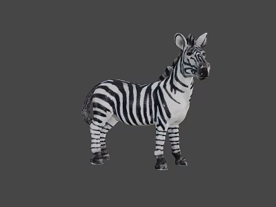 Realistic Zebra Figure With Black And White Stripes Standing Pose 3d model