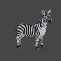 Realistic Zebra Figure With Black And White Stripes Standing Pose