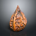 Single Whole Brown Walnut With Natural Textured Shell And Smooth Reflection 3d model