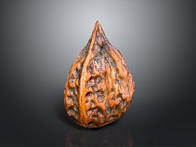 Single Whole Brown Walnut With Natural Textured Shell And Smooth Reflection 3d model