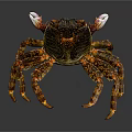 Colorful Crab With Orange Legs White Claws On Gray Background Surface 3d model