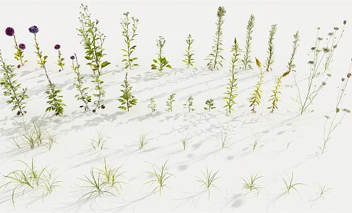 modern plant shrub 3d model