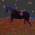 Black Horse Walking on Grassland With Red and Orange Fallen and Falling Leaves