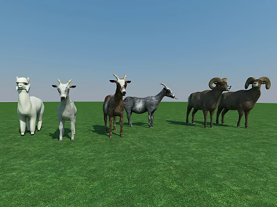 Different Types of Reptiles Standing On Green Grass Field Under Clear Blue Sky 3d model