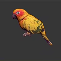 Vibrant Parrot With Yellow Green Red Plumage Red Eye Ring On Black Surface Grey Background
