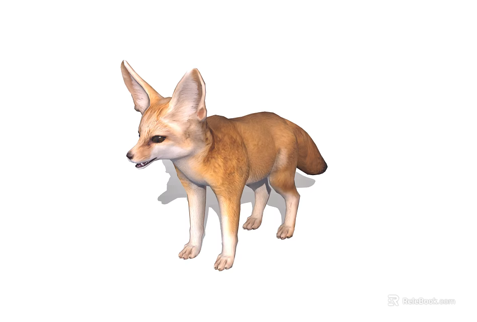 Fennec Fox With Large Ears And Tan Fur Standing Isolated On White Background 3d model 