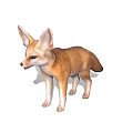 Fennec Fox With Large Ears And Tan Fur Standing Isolated On White Background