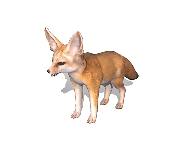 Fennec Fox With Large Ears And Tan Fur Standing Isolated On White Background 3d model