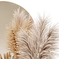 Decorative Ornament Set with Circular Mirror Golden Accents Pampas Grass Vases and Small Decorative Cups