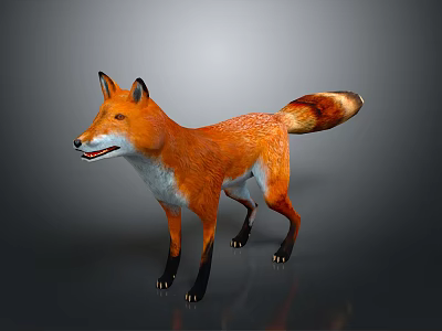 Game Movie Character Fox With Orange Fur White Belly Black Legs And Gradient Tail 3d model