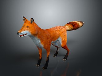 Fox Cartoon Fox Small Fox Cartoon Characters Cartoon Animals Cartoon Small Animals Game Characters 3d model