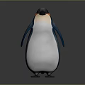 Realistic 3D Penguin Model With Standing Pose Black White Blue Feathers And Orange Eyes