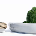 Modern Outdoor Chairs With Circular Design Wooden And White Frames Featuring Potted Plants