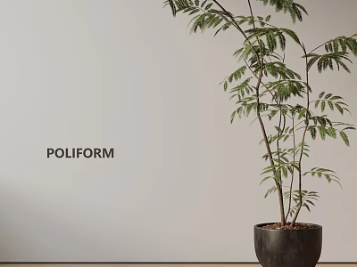 Elegant Potted Bonsai Plant In Black Pot Against Light Wall Background 3d model