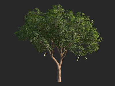 Arbor Tree With Lush Green Leaves Brown Trunk And Hanging Fruits 3d model