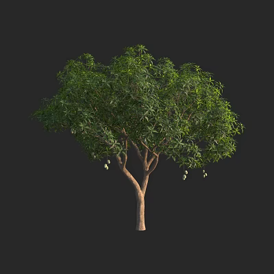 Arbor Tree With Lush Green Leaves Brown Trunk And Hanging Fruits 3d model