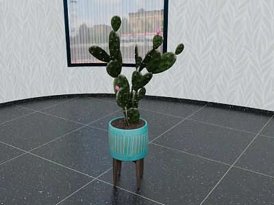Cactus Bonsai Potted Plant In Blue Textured Pot With Wooden Legs On Dark Tiled Floor Indoor 3d model