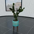 Cactus Bonsai Potted Plant In Blue Textured Pot With Wooden Legs On Dark Tiled Floor Indoor